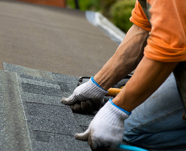 Best Roof Gutter Cleaning  in Hillsbo, OR